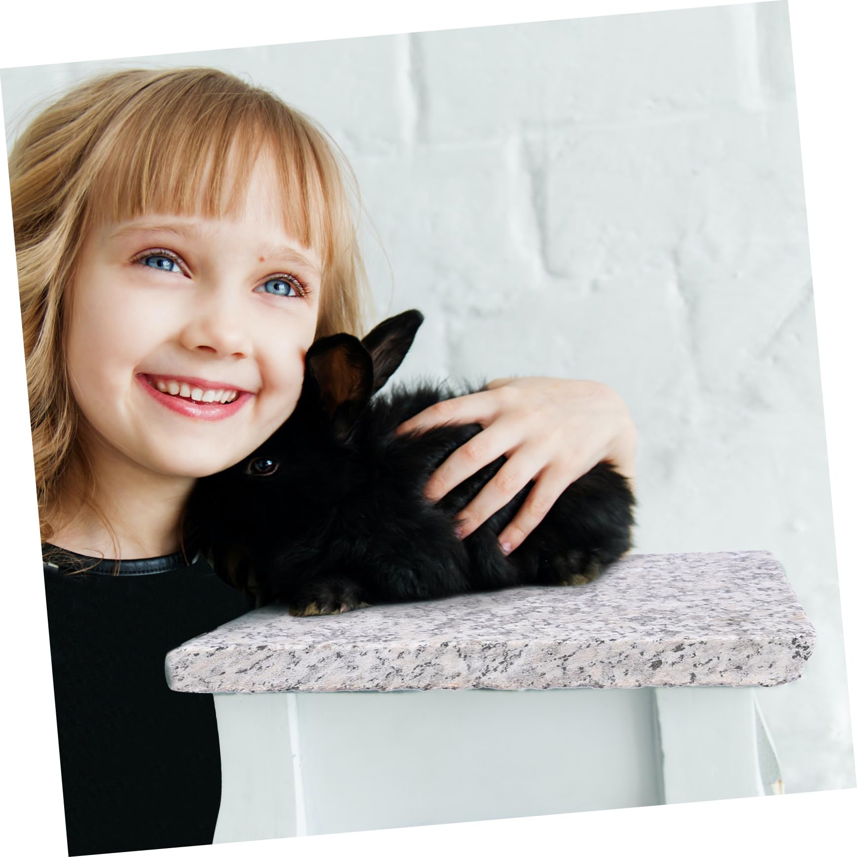 Piastra Refrigerante in Marmo per Animali Domestici Tavola Rinfrescante per Criceti Media Accessorio Estivo Portatile per Benessere dei Piccoli Roditori