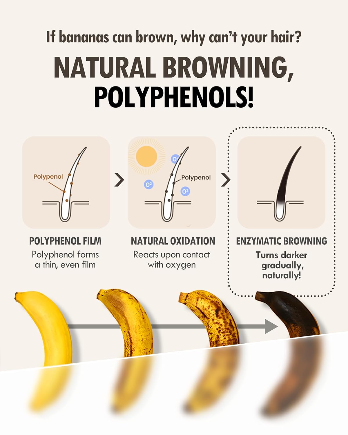 MODA MODA Zero Gray Black Hair Shampoo (10.58 Oz) | Natural Darkening Color for Hair & Scalp | Age-Defying, Volumizing Formula that Reduces Hair Breakage - Image 4