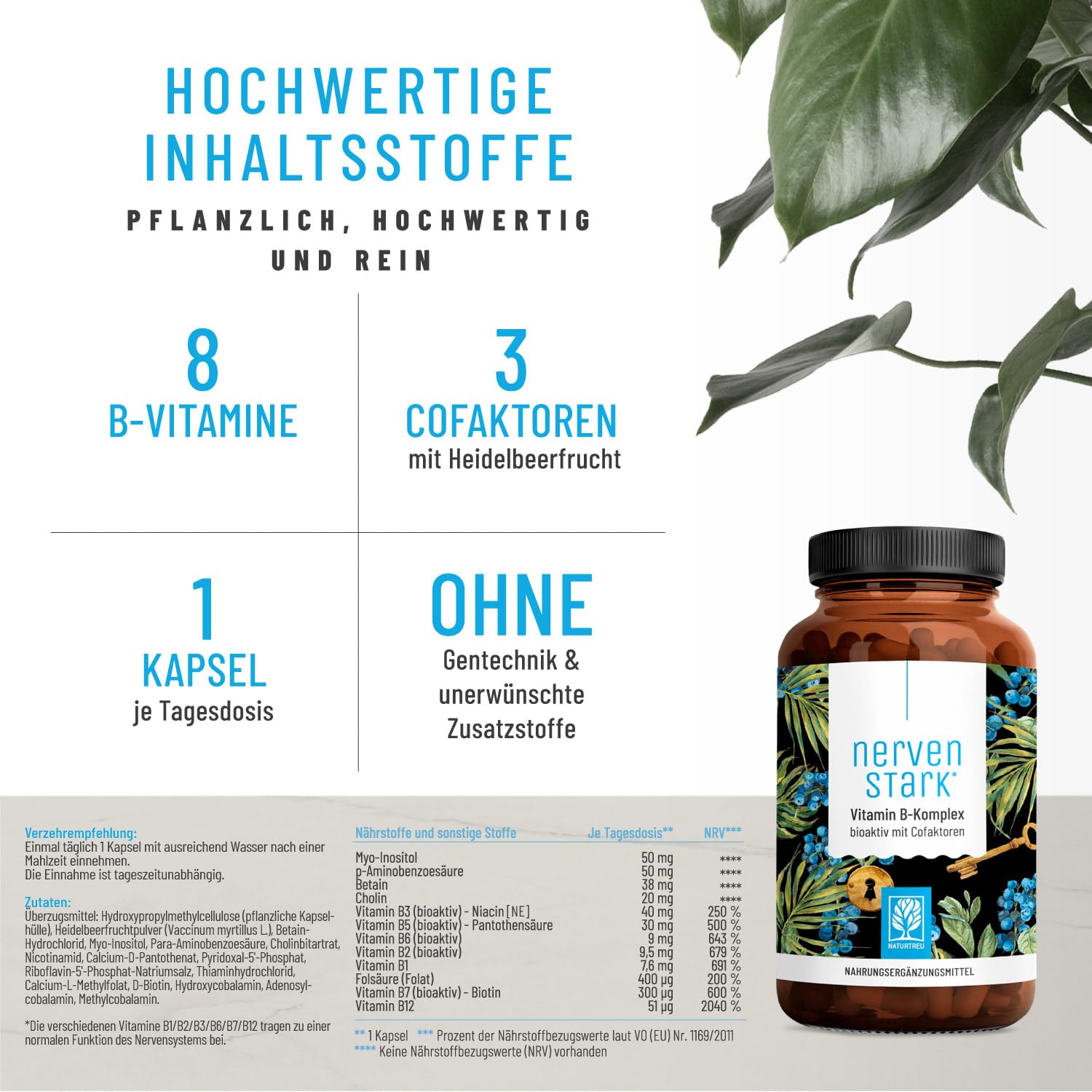 Vitamin B Komplex (B1-B12) mit 3 Kofaktoren aktiv - Alle 8- B Vitamine - B Vitamin Komplex hochdosiert mit Cofaktoren - Nervenstark *