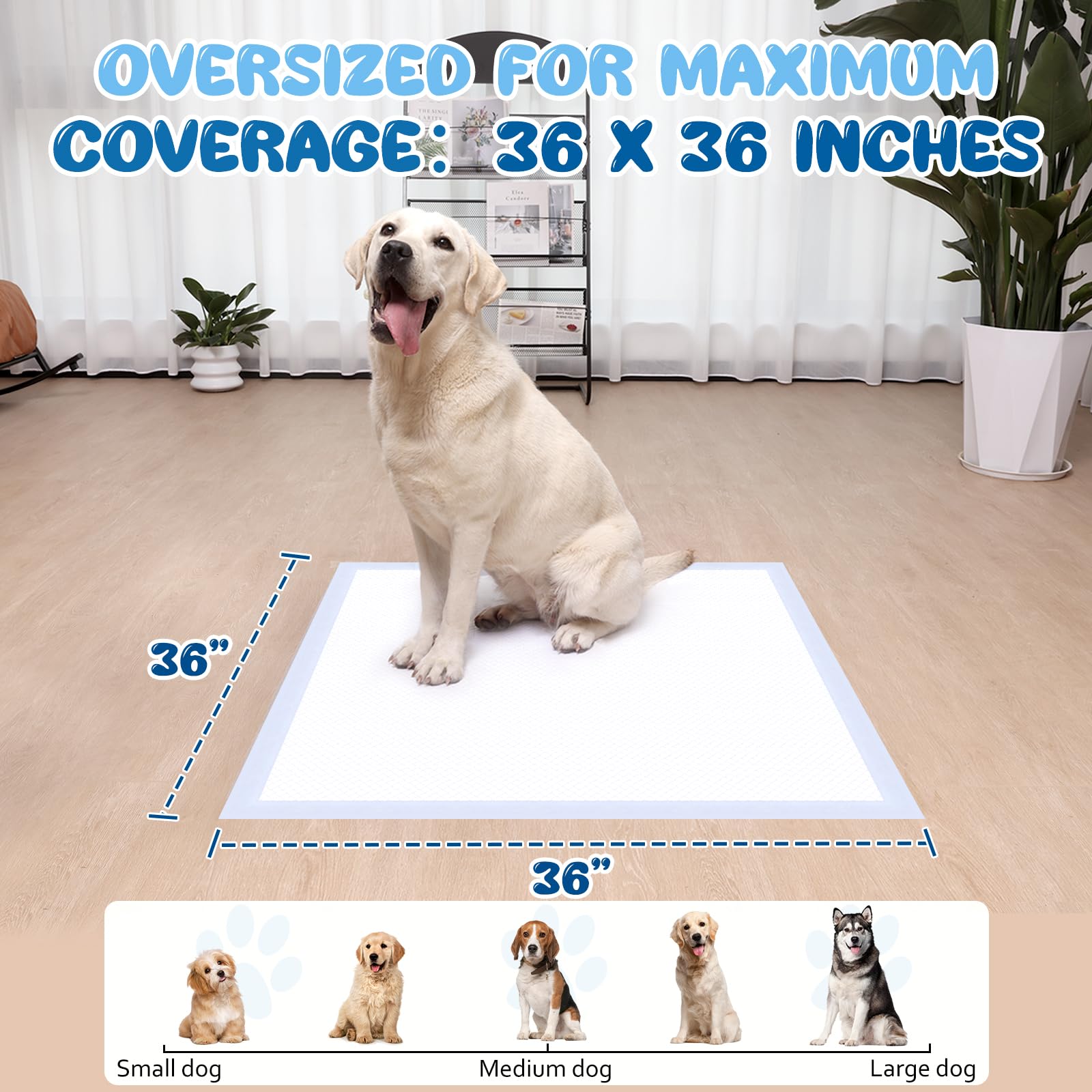 Almohadillas XXL para cachorros y almohadillas de entrenamiento para perros, almohadillas para orina de 36 x 36 pulgadas, 40 unidades, a prueba de fugas y súper absorbentes, almohadillas