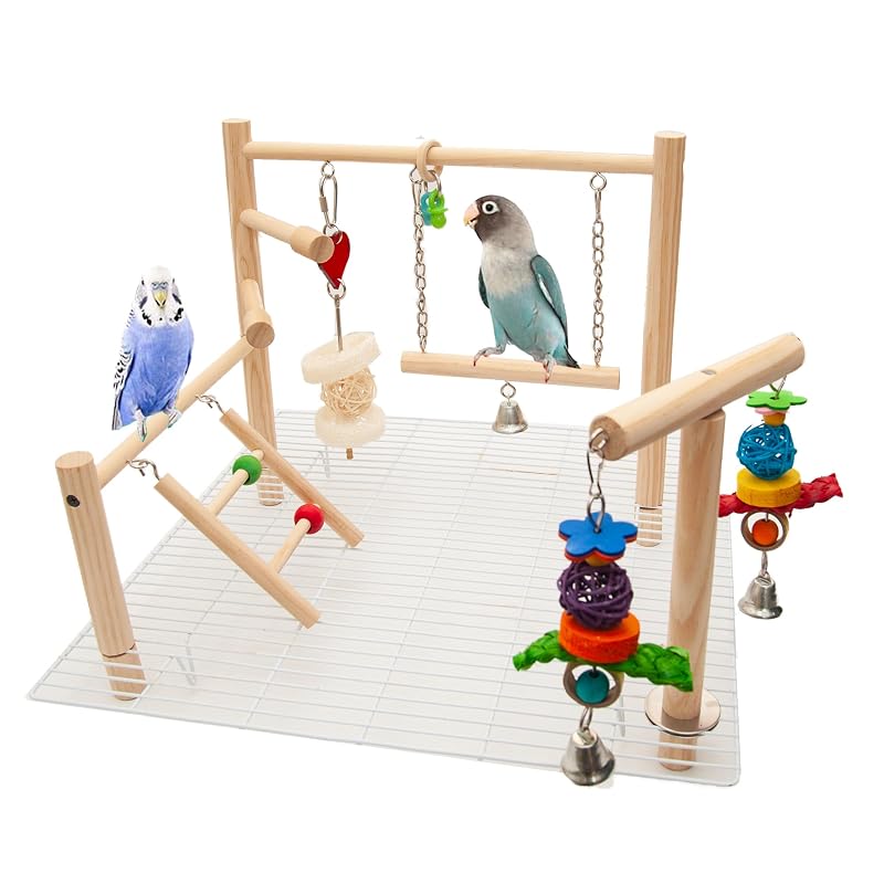 Playground para Aves Pequenas Wondwo em Madeira para Topo ou Interior da Gaiola, Branco, Tamanho Pequeno