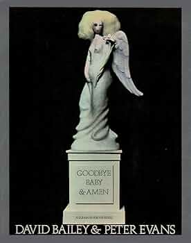 GOODBYE BABY & AMEN 写真集 Buy Goodbye Baby & Amen by David bailey and Peter Evans