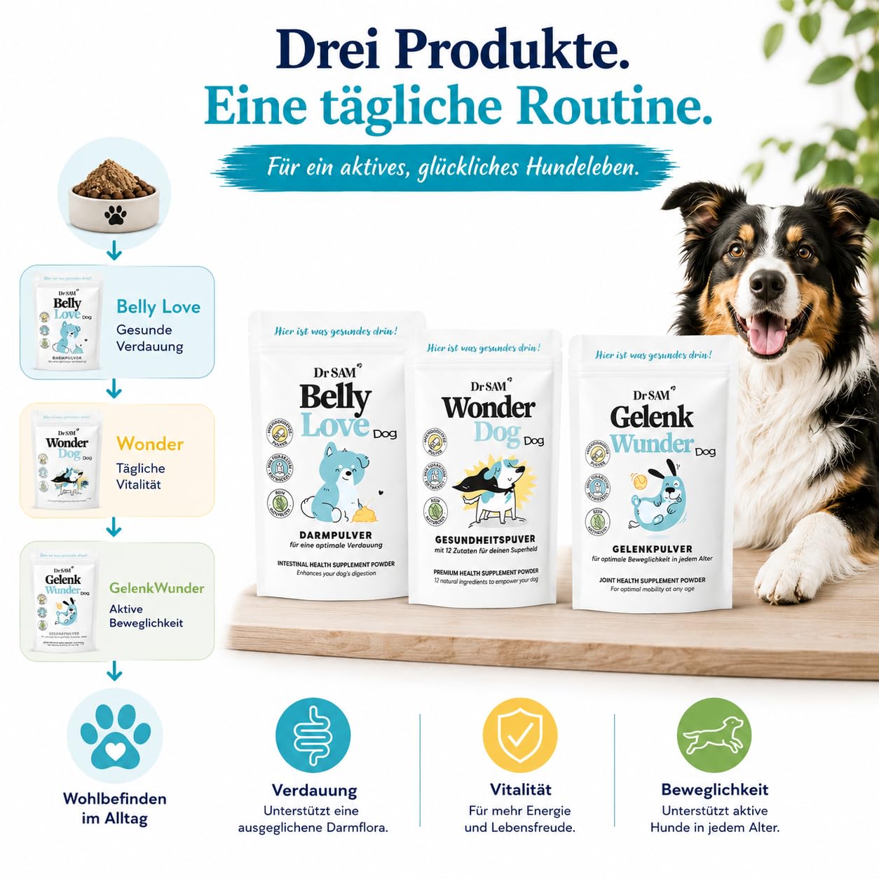 Dr. SAM Futter-Topping Starter Paket für Hunde | 3 x 90g Gesundheits-Toppings für Darmflora, Verdauung, Gelenke, Beweglichkeit, Immunsystem & Vitalität | Tierärztlich entwickelt zur Rundumversorgung