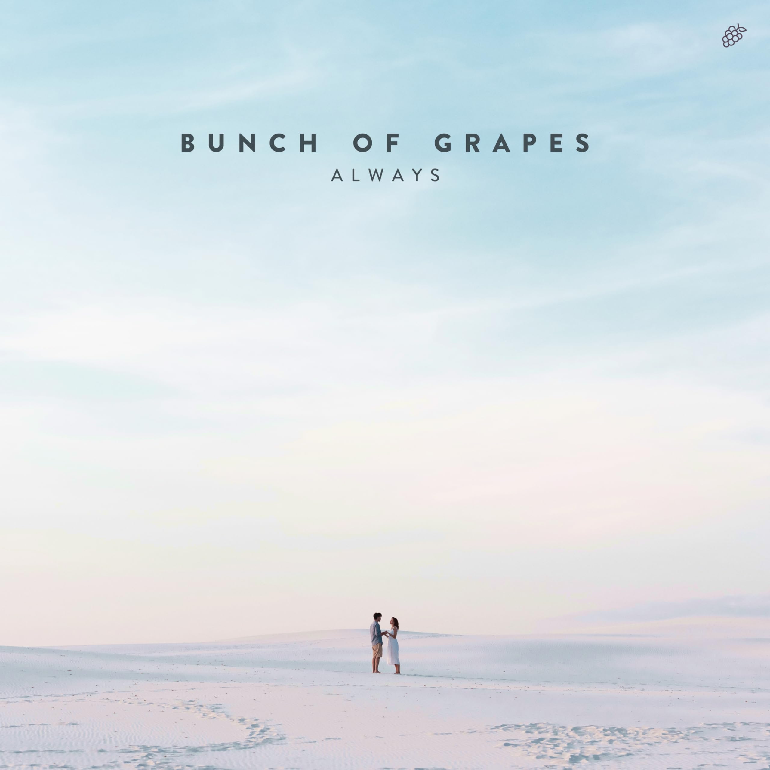 Bunch Of Grapes
