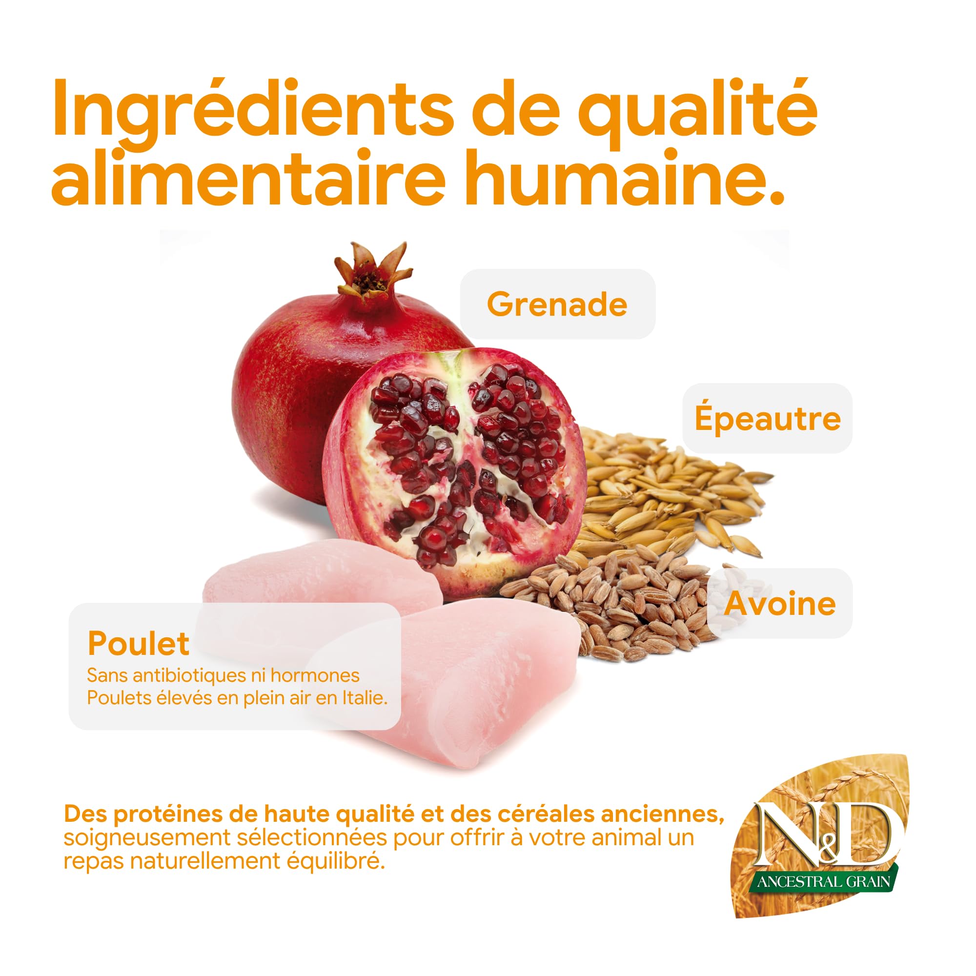 N&D Ancestral Grain Selection pour Chien Adulte Moyennes & Grandes Races 15kg
