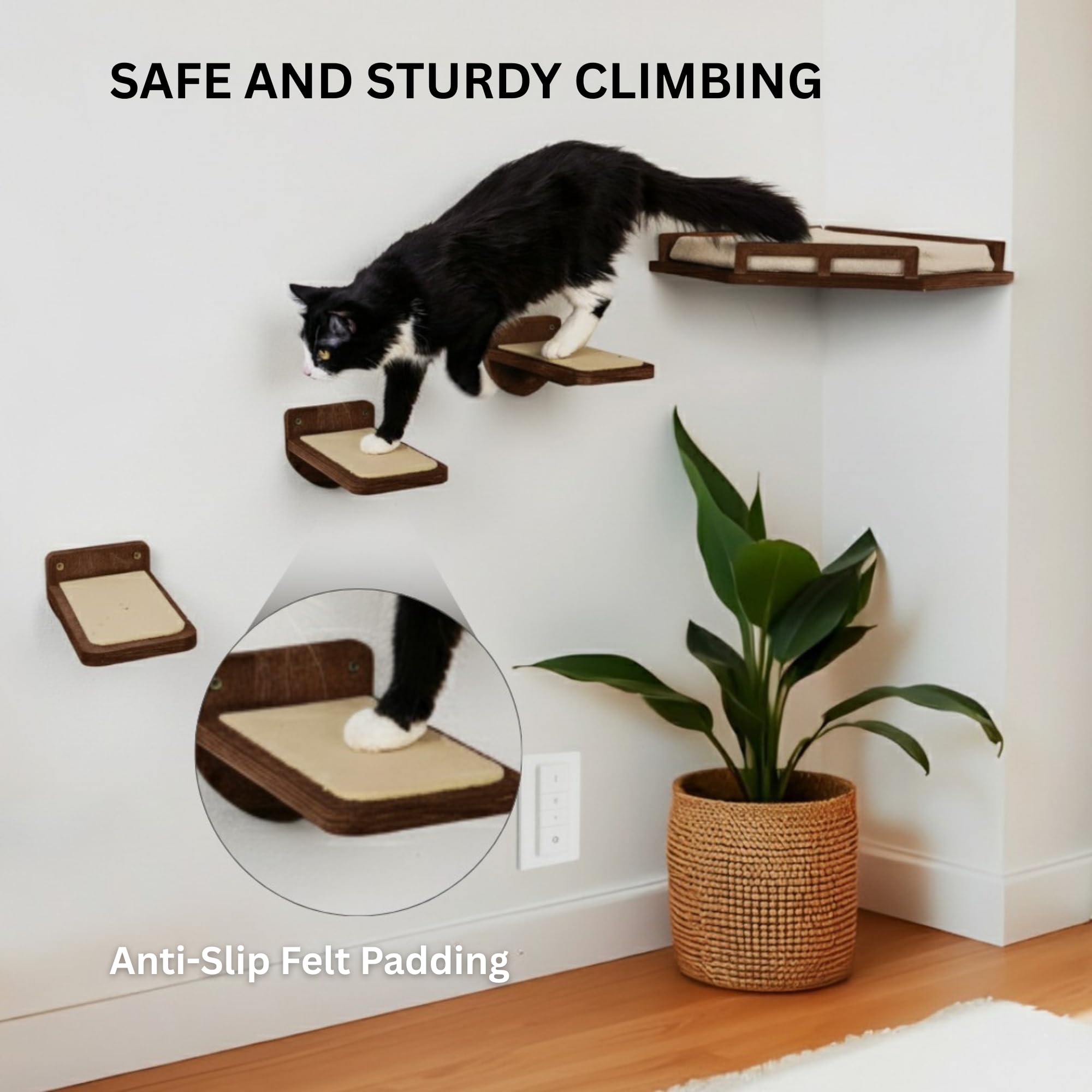 View 6
