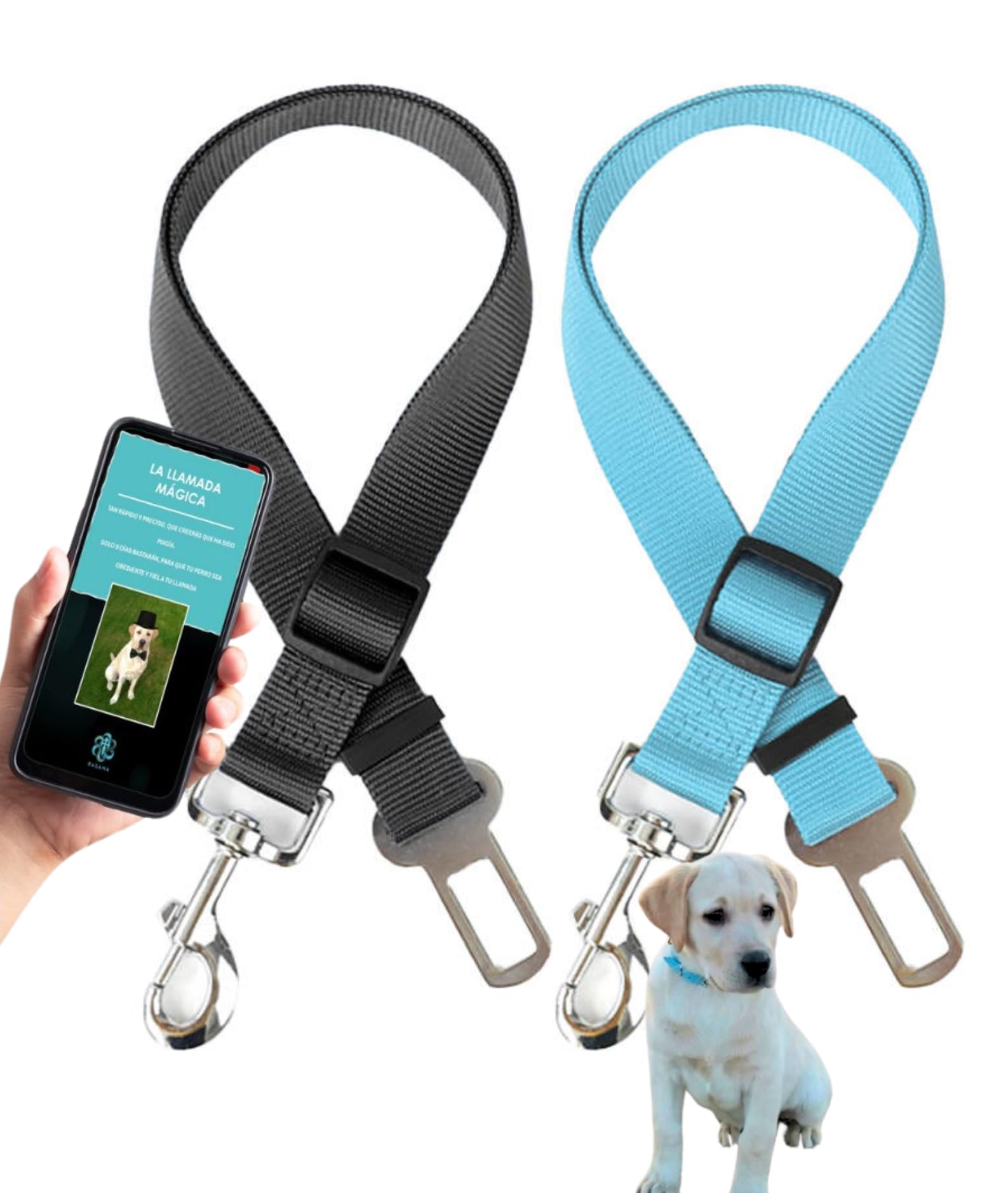 BASAMA Cinturon Perro Coche (2 Piezas) + E-Book Llamada Magica en 9 días - Correa Perro Coche con Anclaje Universal y Tamaño Ajustable (Negro y Azul)