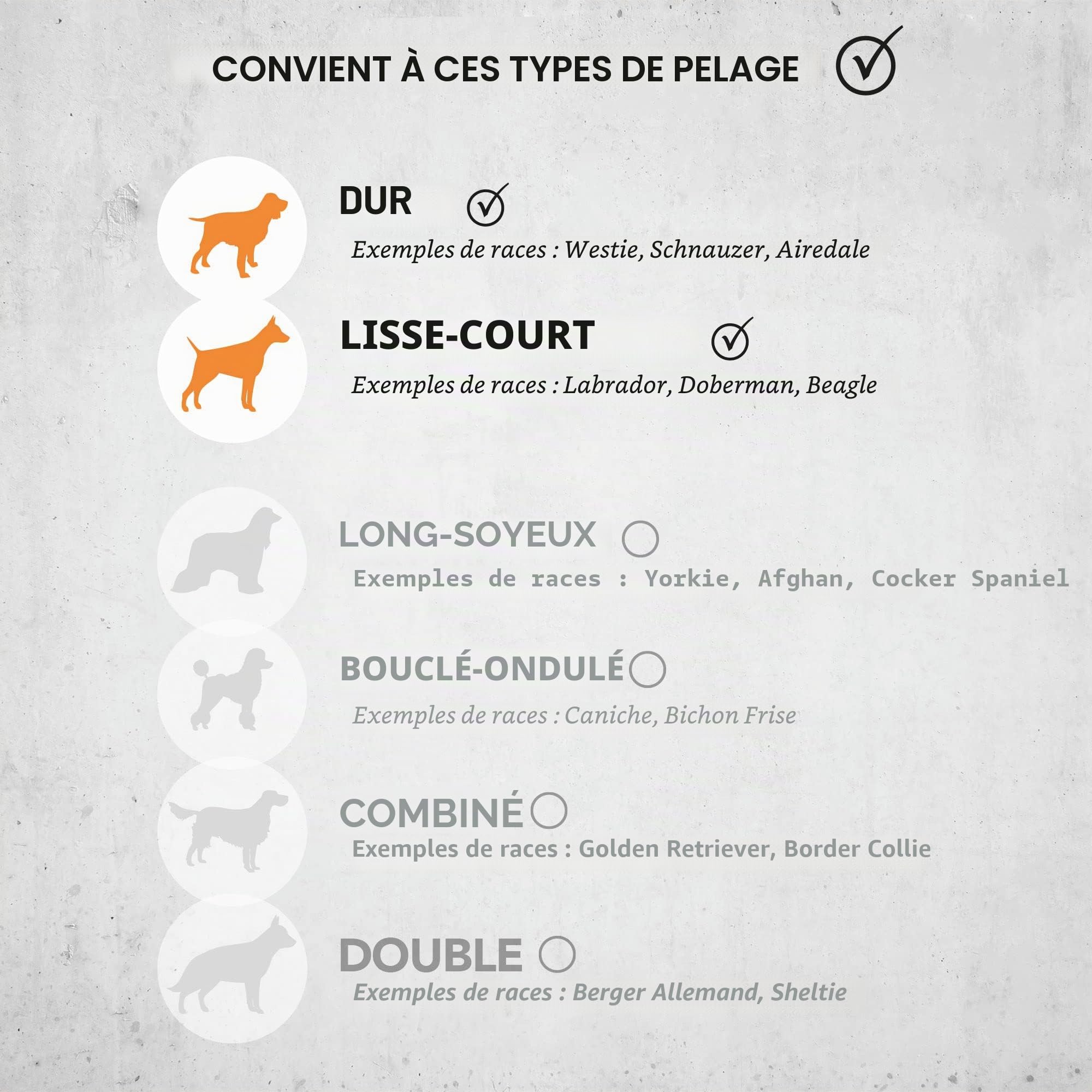 WAHL Kit de Tondeuse Rechargeable pour Animaux de Compagnie, Tondeuse pour Chien, kit de toilettage sans Fil, Ensemble de Tondeuse à Poils d'animaux, Faible Bruit et Vibration, toilettage des Animaux