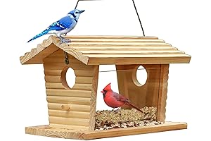 STARSWR Bluebird Feeder Outside for Mealworms: Squirrel-Proof Hanging Birdhouse Feeder for Cardinals and Finches