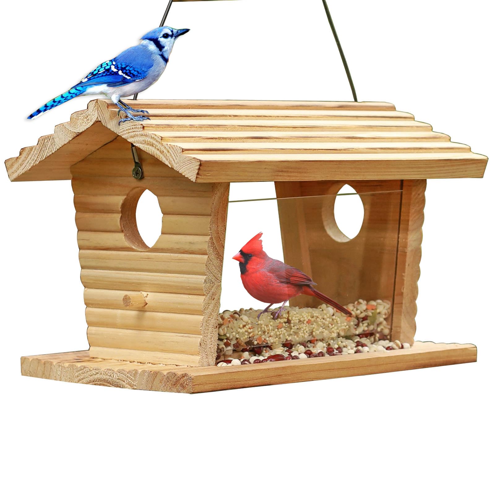 Amazon.co.jp: Mealworms Feeder ブルーバード ハウスフィーダー