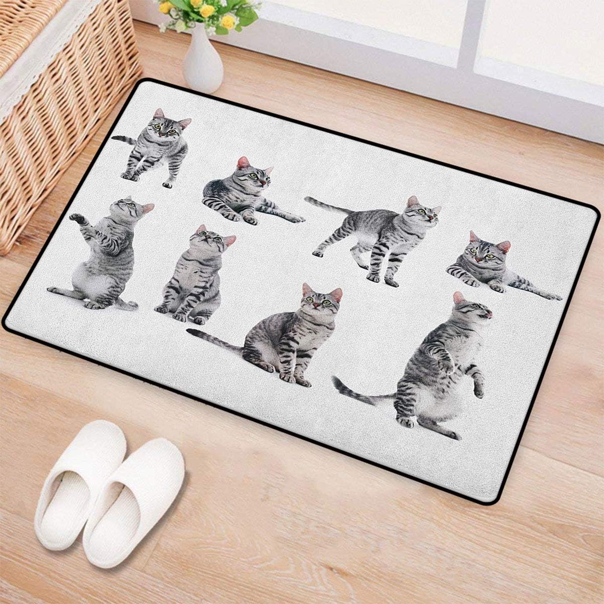 Cat,Bath Mats for Floors,Collage of a Cute Inquisitive