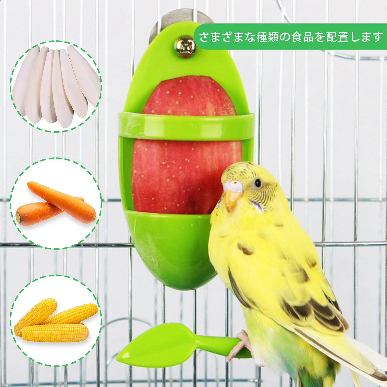 Amazon.co.jp: カトルボーン ホルダー バードフィーダー 鳥 餌入れ