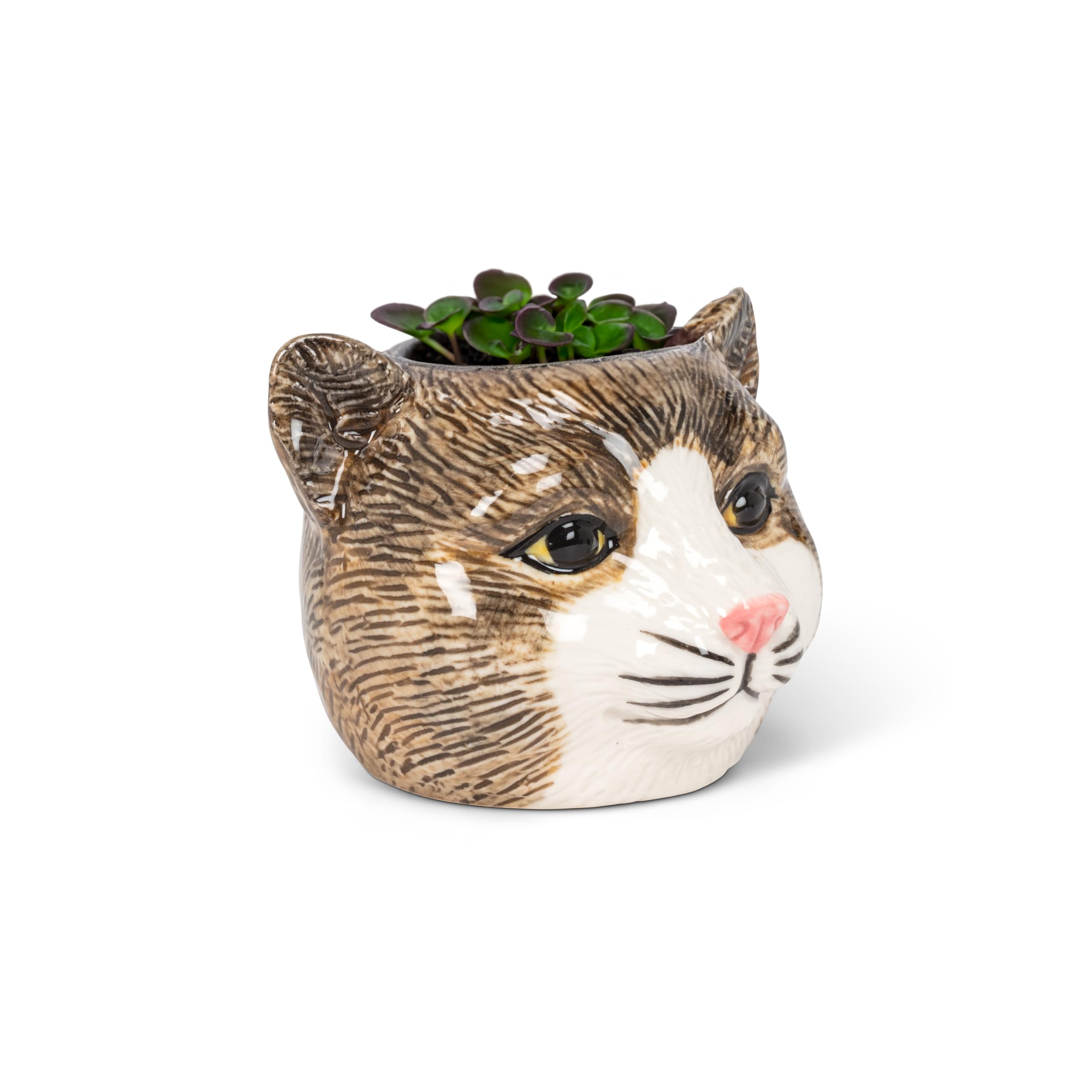 Amazon.com: Abbott Collection Small Tabby Cat Planter | Sculpted