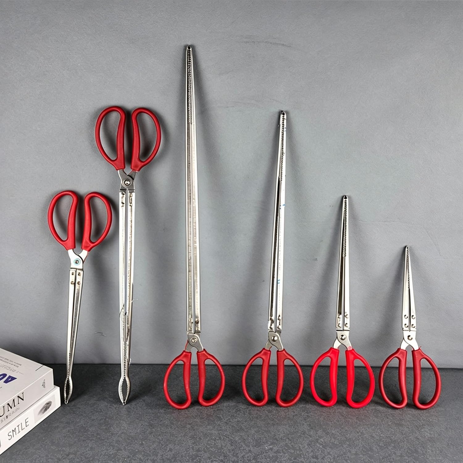 Pinze per Granchi e Anguilla a Lunga Portata, Acciaio Inossidabile 38/52cm