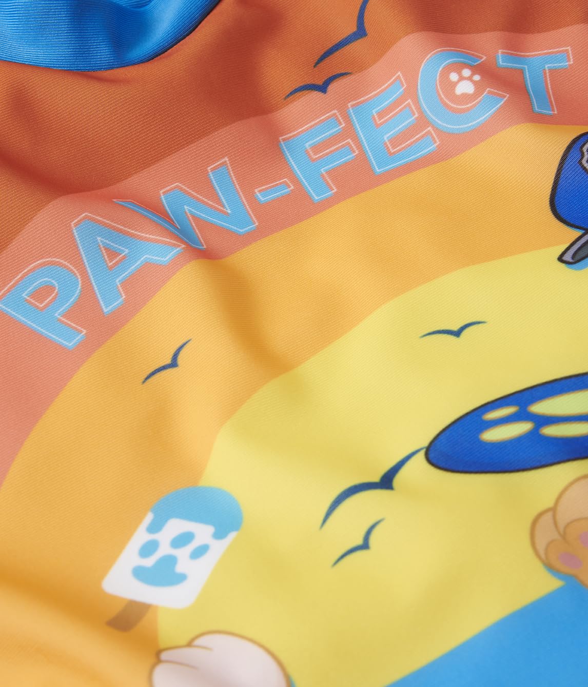 Paw Patrol Ensemble de natation, protection UV 50+, pour garçon, maillot de bain et short 2 pièces, bleu