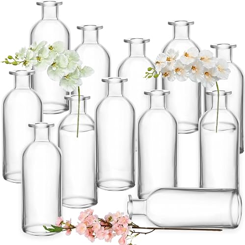 Nexboraque 12 Pack Glass Bud Vases | Clear Small Vases in Bulk Decorative Glass Flower Bottles for Table Centerpiece, Home Decor, Office, Wedding Reception
