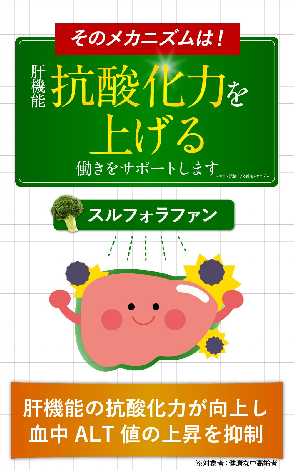 Amazon | スルフォラファン スルフォラファイン 肝機能 サプリ 血中ALT