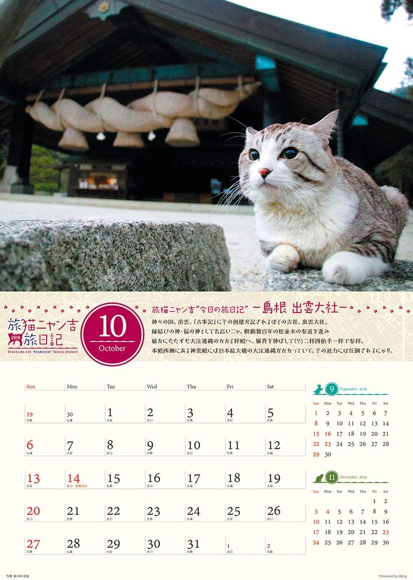 Amazon ウイング 旅猫ニャン吉 旅日記 19年 カレンダー Cl 380 壁掛け 52 36cm 猫 カレンダー 文房具 オフィス用品