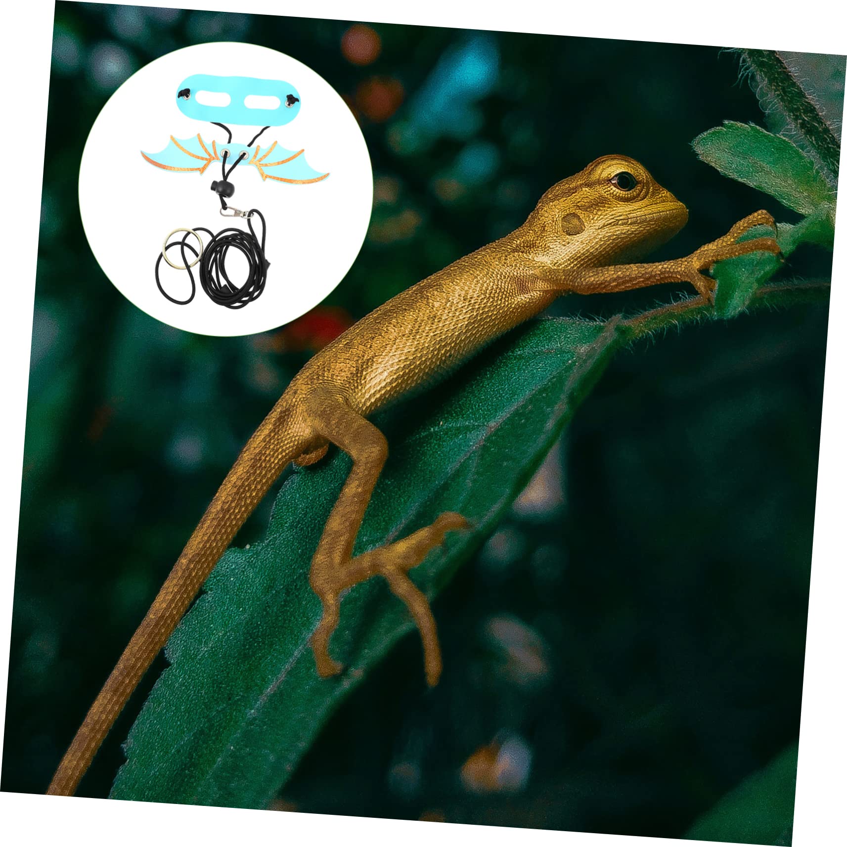 SUPVOX 5Pcs Adjustable Reptile Harness and Leash for Bearded Dragons and Animals Wing Design Comfortable and Skin Friendly for Outdoor Walking and Travel