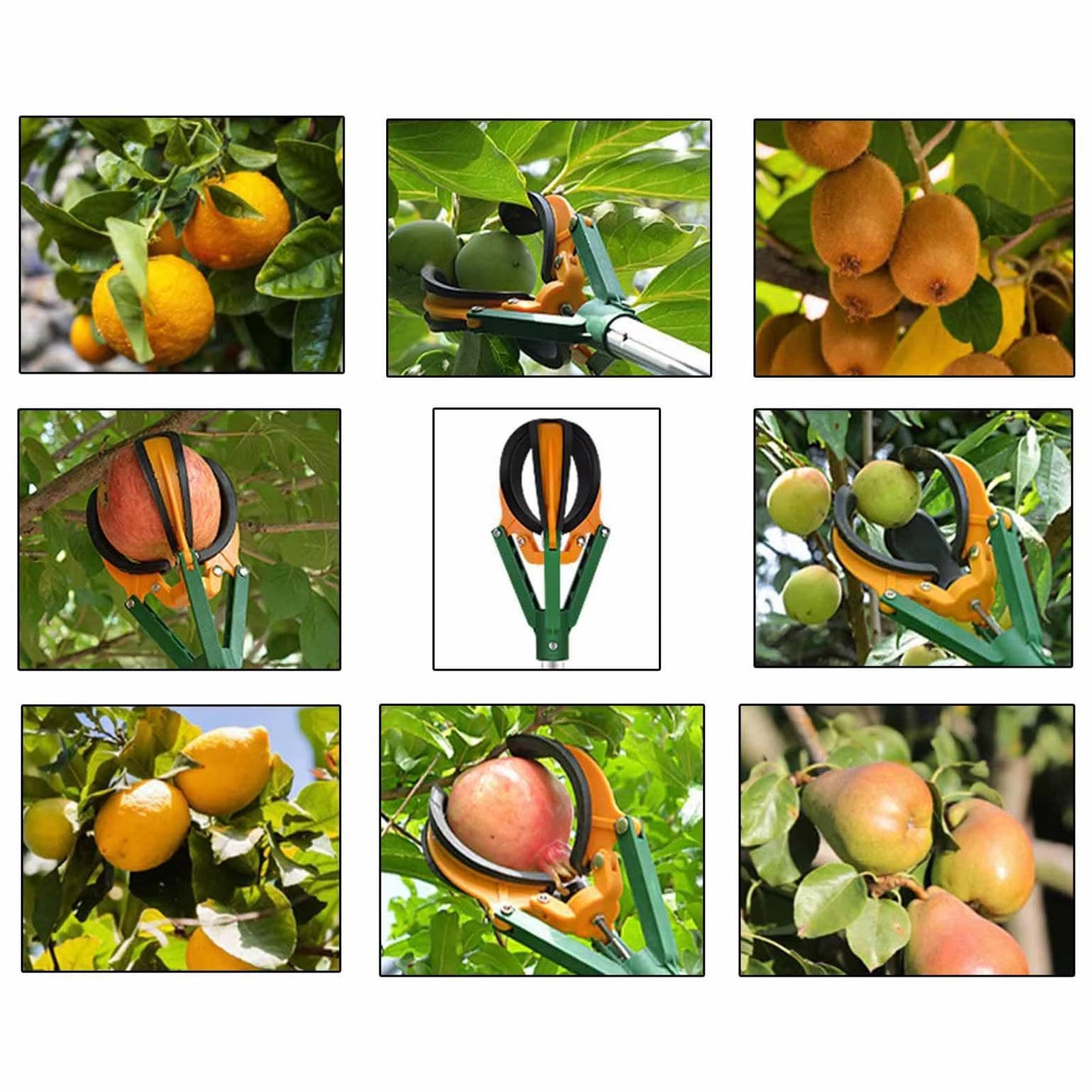 Raccoglifrutta Attrezzo Raccoglifrutta Da Giardino