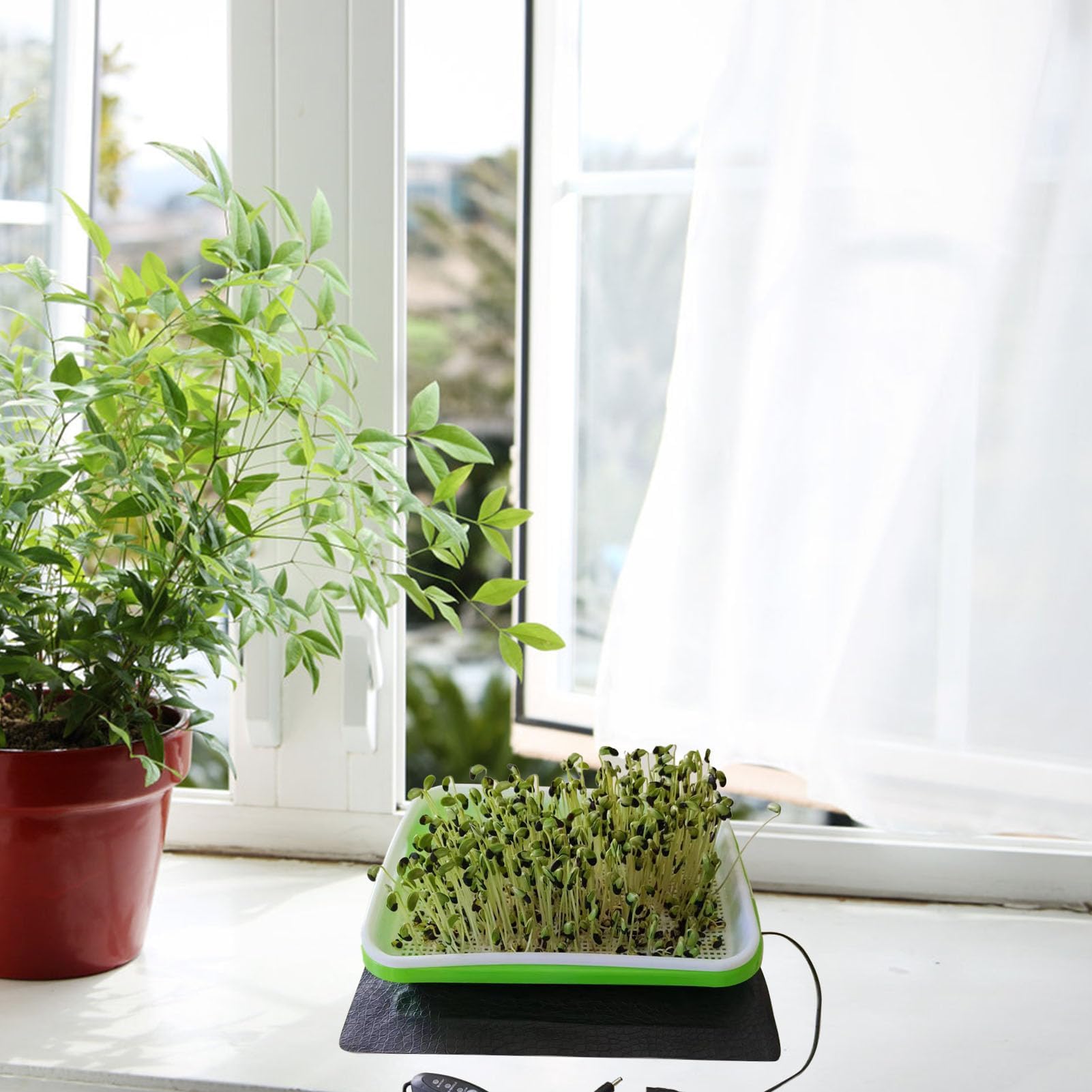Ejoyous Tapis Chauffant pour Plantes, Tapis Chauffant pour Semis avec Thermostat, Réglage de la Température à 3 Vitesses pour la Germination des Semis, pour Serre (3318)