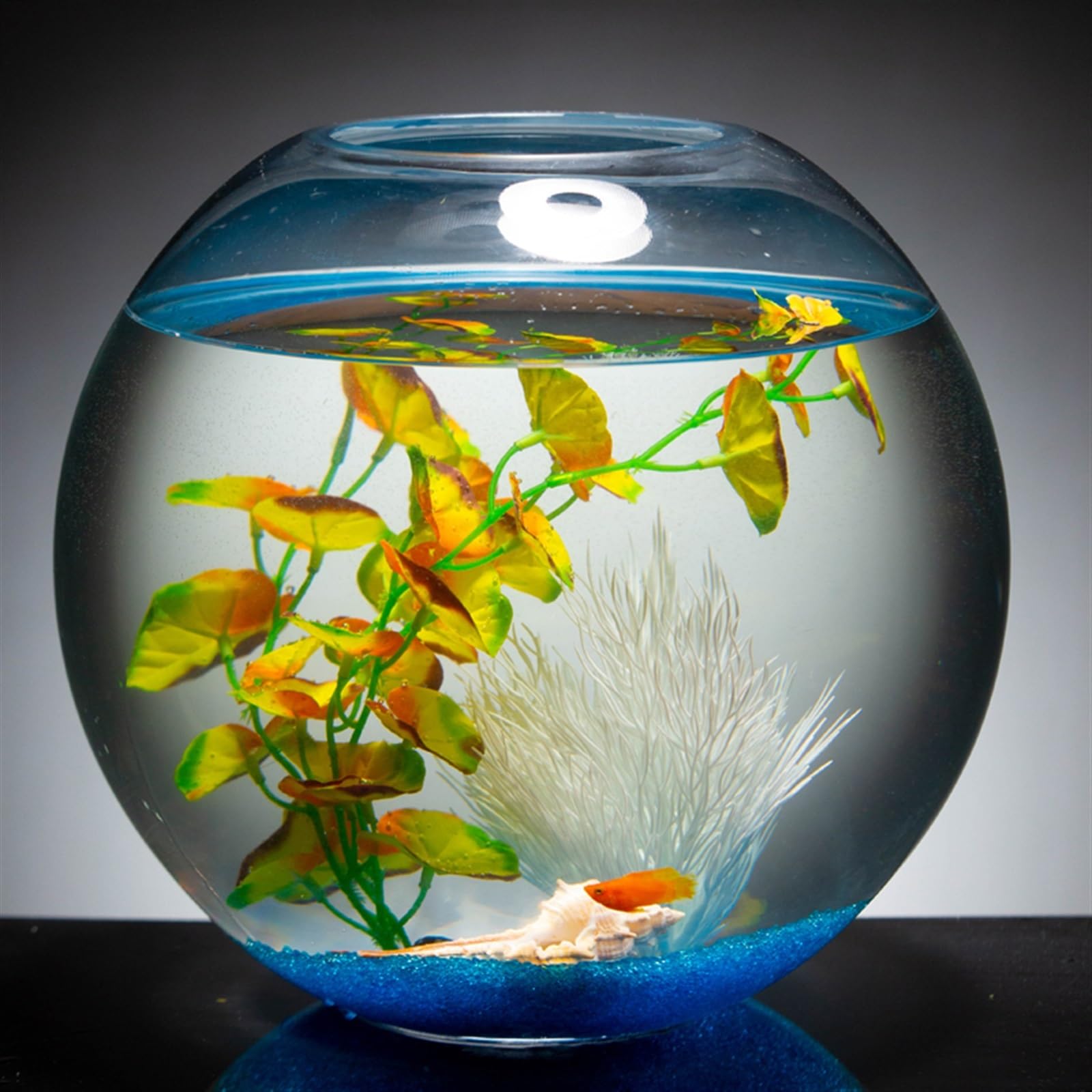 Acuario Tanque de Peces de Vidrio Transparente Engrosado, Tanque Redondo Grande for Peces, Acuario de Escritorio, Tanque de Peces for Sala de Estar, Tanque de Tortugas Peces Acuario(Grande)
