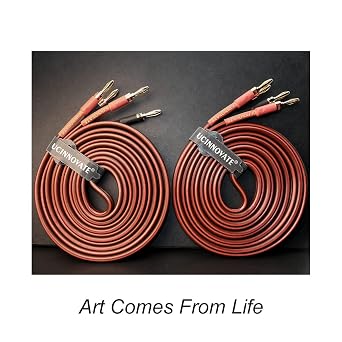 2 Pack High-end Pure Copper HIFI OFC Speaker Wire Cable with Banana Plug, 3m Gold-Plated Banana Tip Plugs 600 Strand 14 AWG for Audio Speaker HIFI System (3m / 9.8FT)