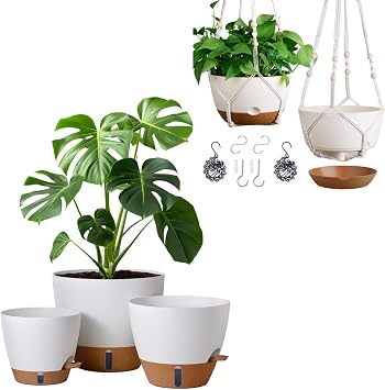 montresor 12/10/8 Inch Self Watering Pots for Indoor Plants Plastic Large Pot for Outdoor Plants, Water Level Window & Spacious Reservoir Flower Pots Decorative Planter with Drainage and Tray