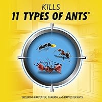 Vista 4 de Estación de cebo para hormigas Combat Max 2 en 1, 4 unidades (Paquete de 3)
