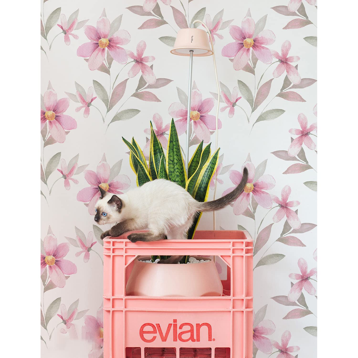 Fotomurale autoadhesiva para renovar paredes aburridas sin obras usando motivos florales