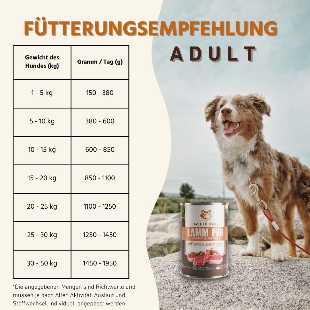 Wildfang® Hundefutter Nass 400g – Premium Pur Lamm Nassfutter für Hunde mit natürlichen Zutaten, Getreidefrei & glutenfrei, ohne Zuckerzusatz, ideal für alle Rassen und Senioren-Hunde – 6er Pack