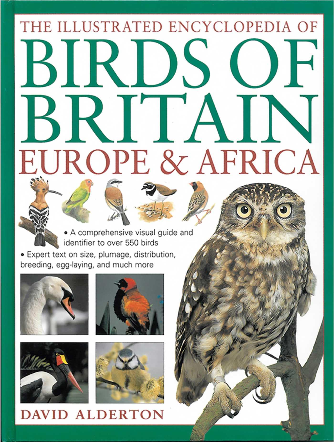 The Illustrated Encyclopedia of Birds of Britain  by David Alderton HARDBACK