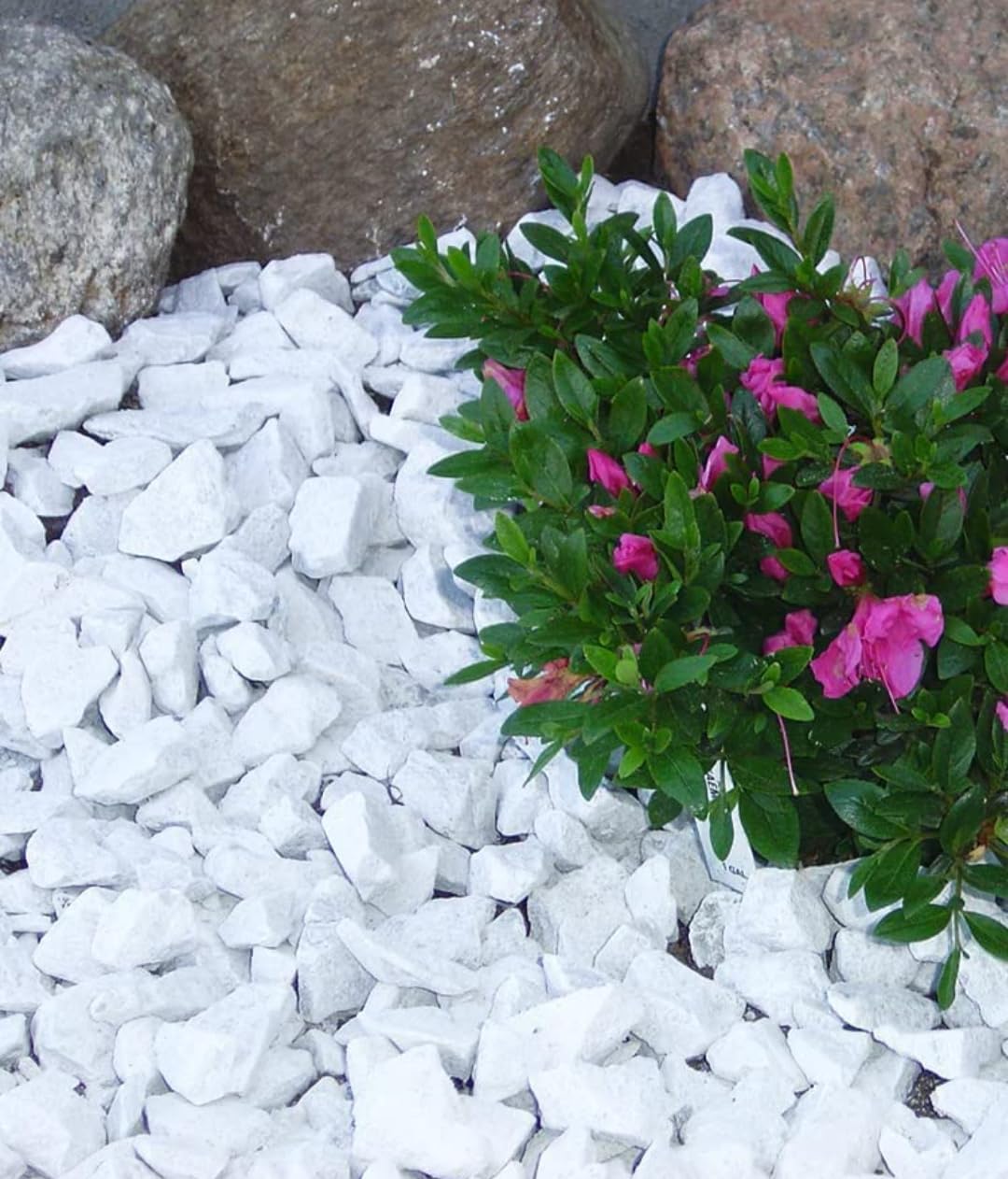 Marble White Chips Tumbled Chips Crushed Stone Crystal Natural Small Rocks Irregular Shape Stone Reiki Healing Gemstones for Garden Aquarium Vases Plants Decoration (Marble Chips.5Kgs) (B0C7588XHJ) Amazon Price History, Amazon Price Tracker