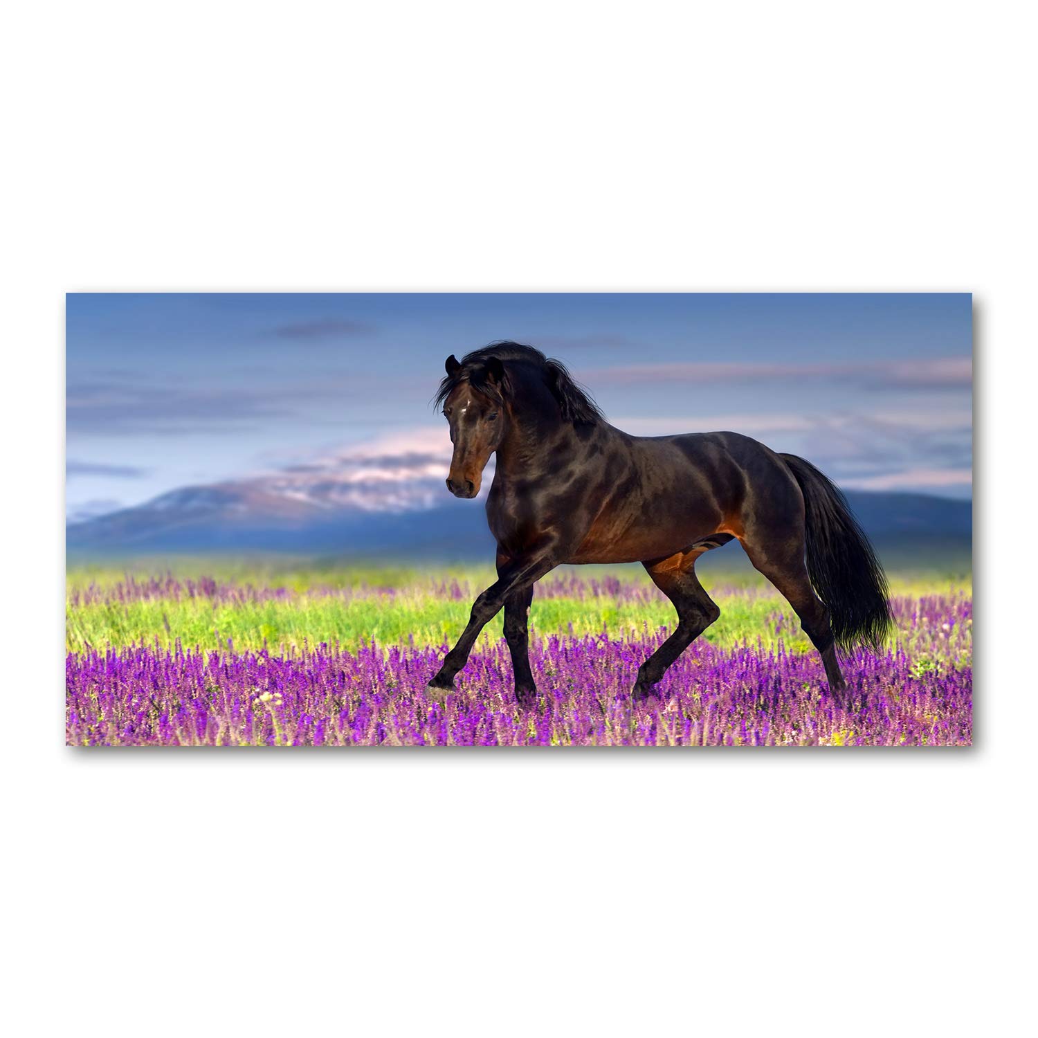 Tableau sur verre 120x60 cm cheval brun dans un champ de lavande panoramique