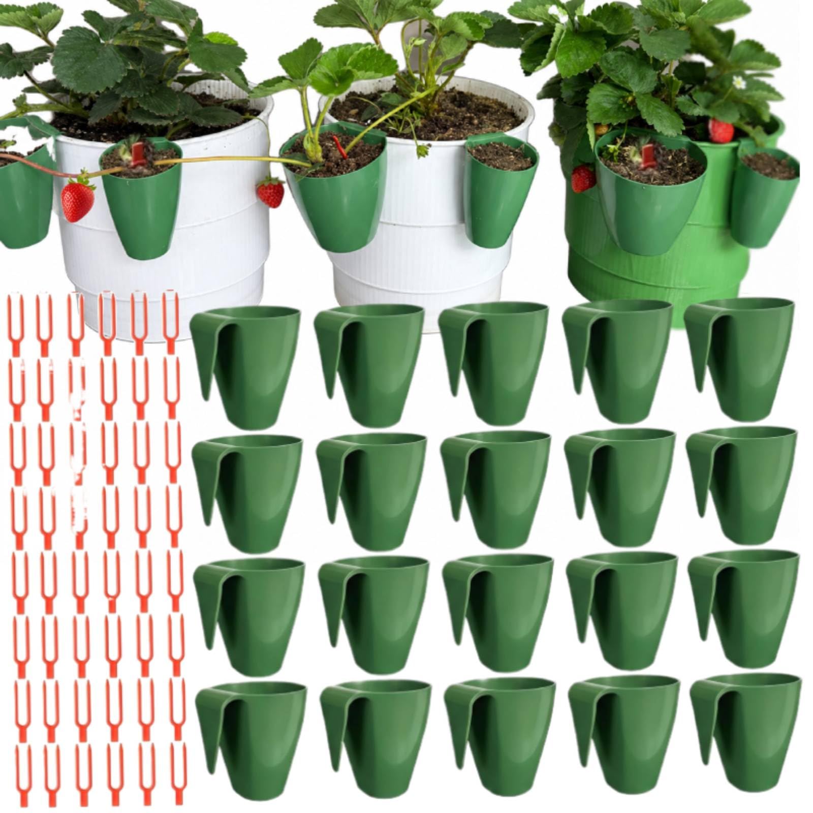 20Pcs Strawberry Rooting Cup Kit with 50 Forks, Small Strawberry Propagation Cups with Vine Press Forks, Strawberrys Runner Propagation Set, Plastic Planter for Runner Rooting & Transplanting,Pots(S