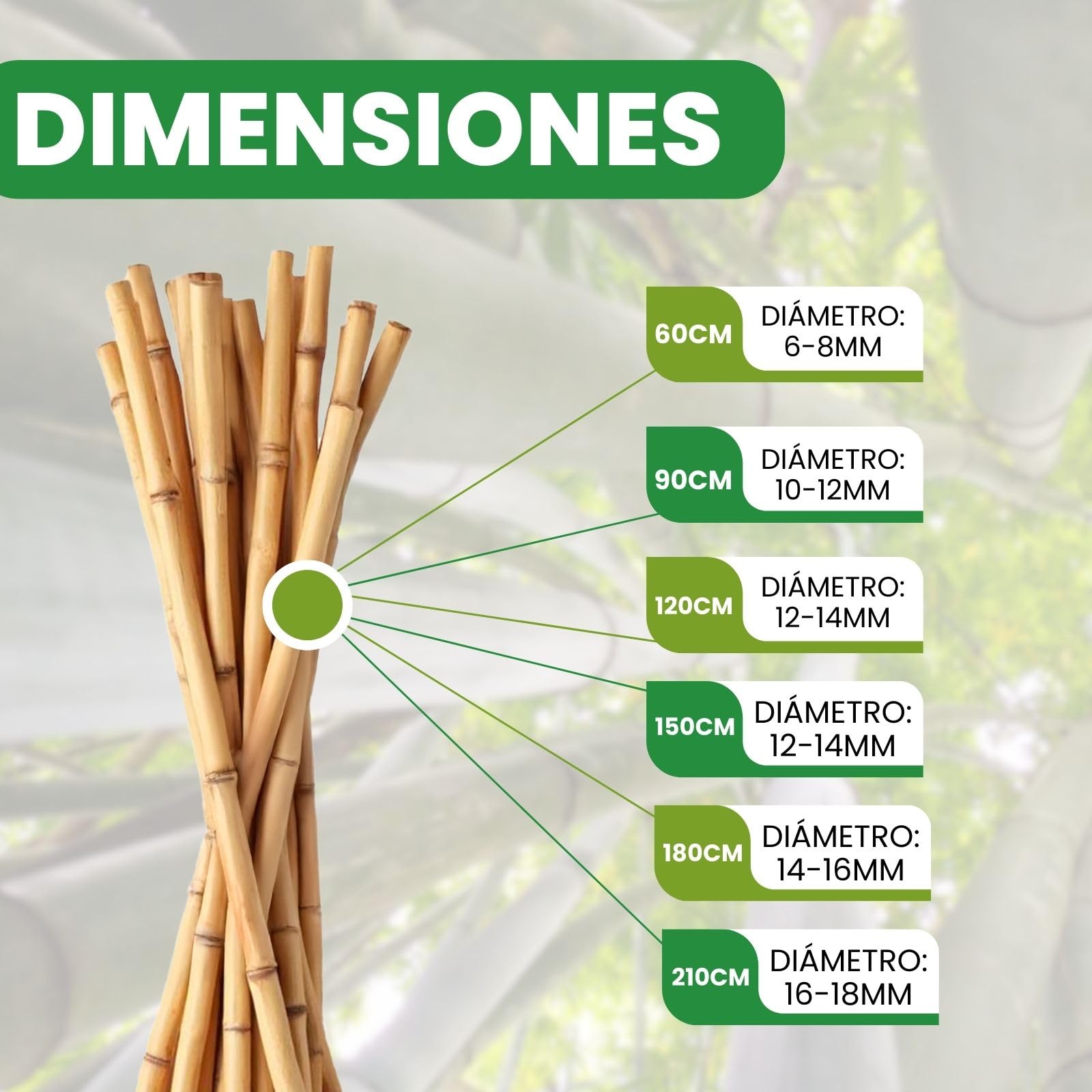 PLANTAWA Tutores de Bambú 90 cm Paquete 25 Unidades Ø 10-12 mm | Soporte para Plantas, Hortalizas, Tomates y Tomateras | Tutores para Plantas de Instalación Fácil. Cañas de bambú Resistentes