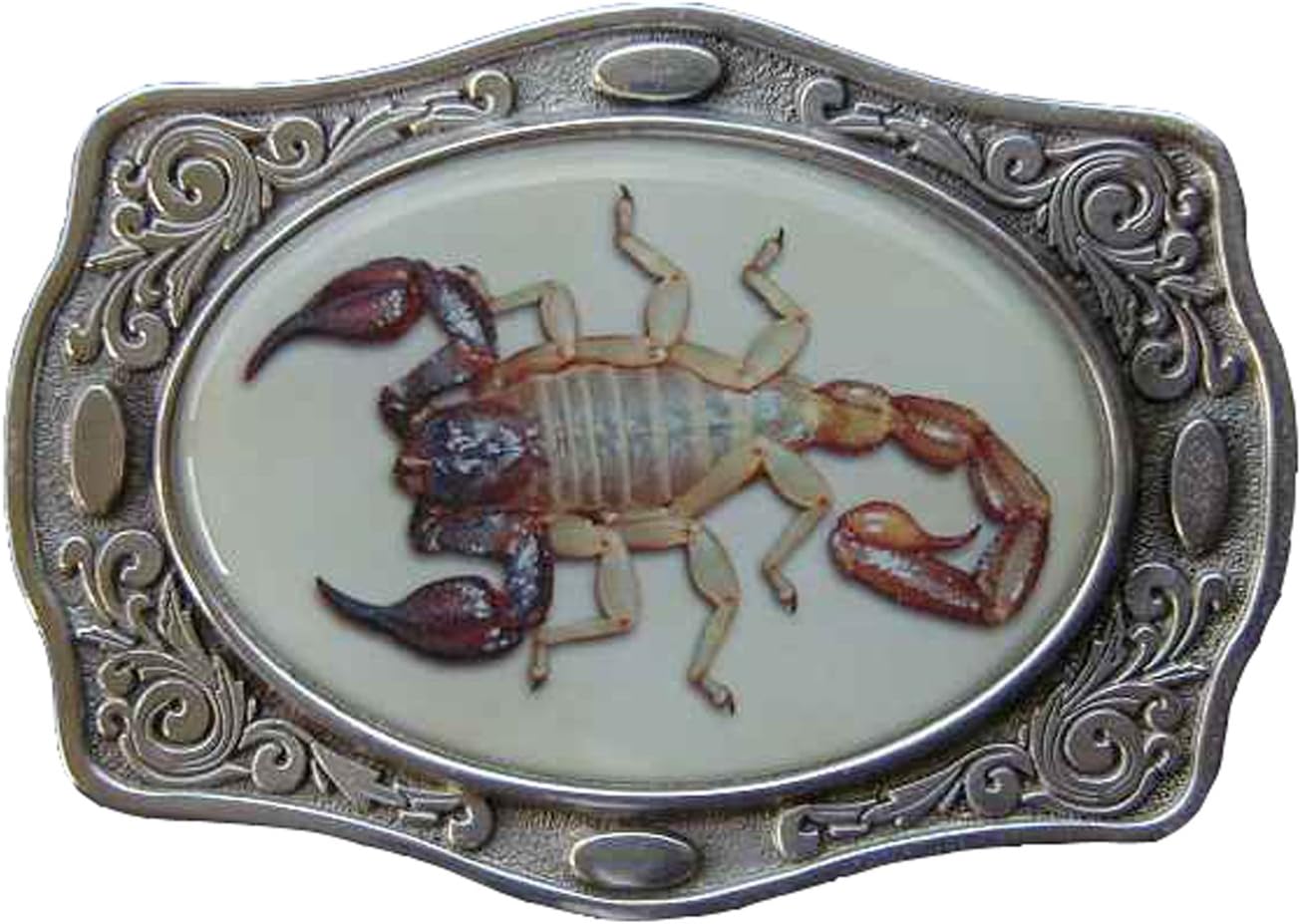 Scorpion Buff Shine Border Novelty Belt Buckle