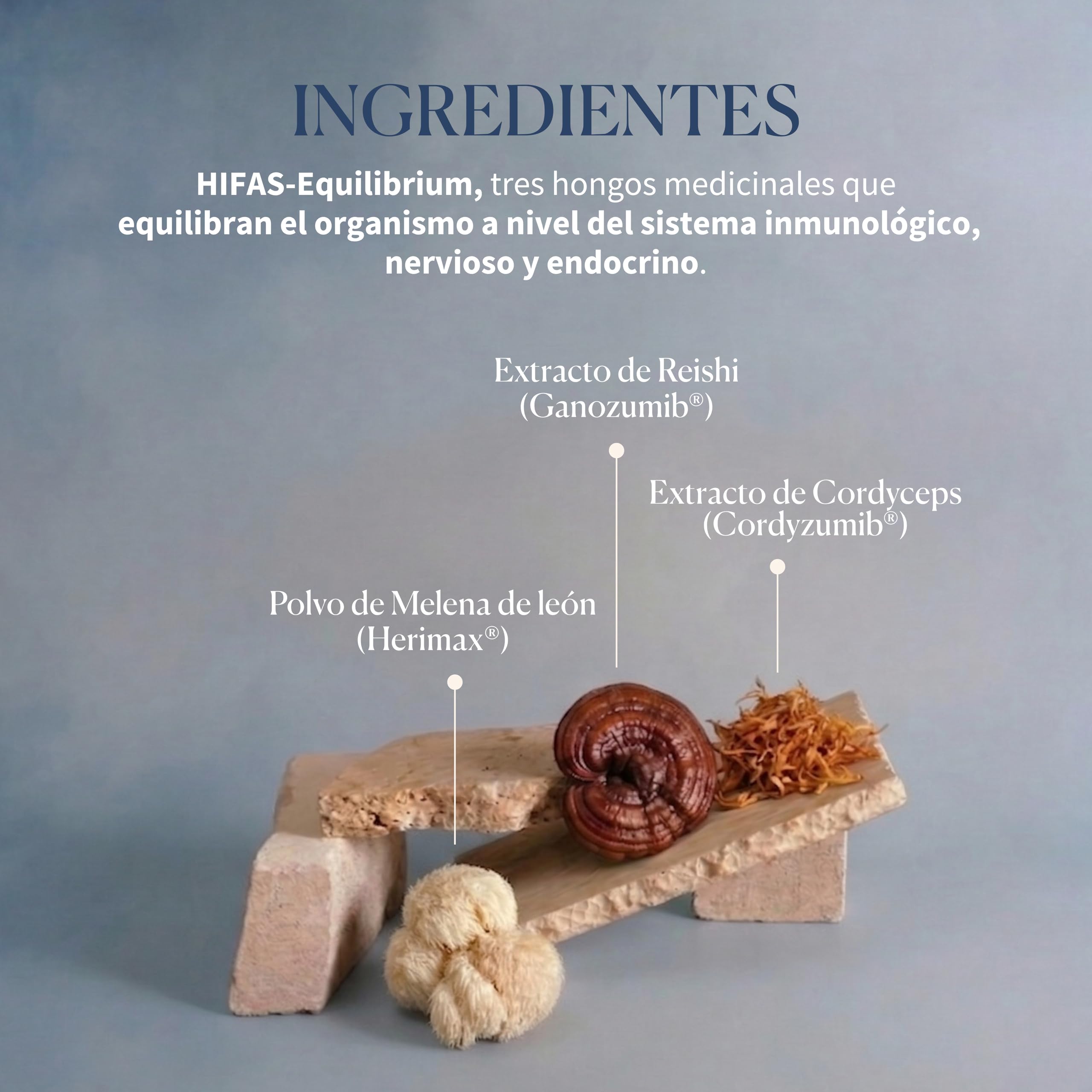 HIFAS DA TERRA - HIFAS-Equilibrium Extractos de Hongos Puros de Reishi, Melena de León y Cordyceps para Equilibrar el Bienestar Físico y Emocional - Refill 60 Cápsulas