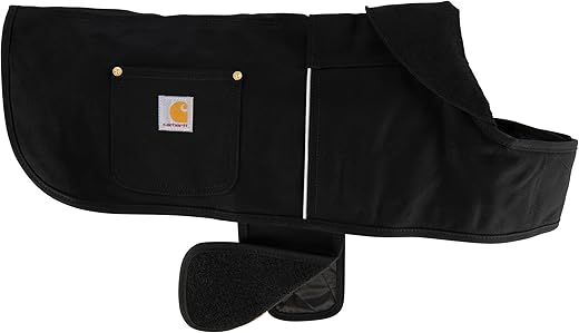 Dog Apparel & Accessories