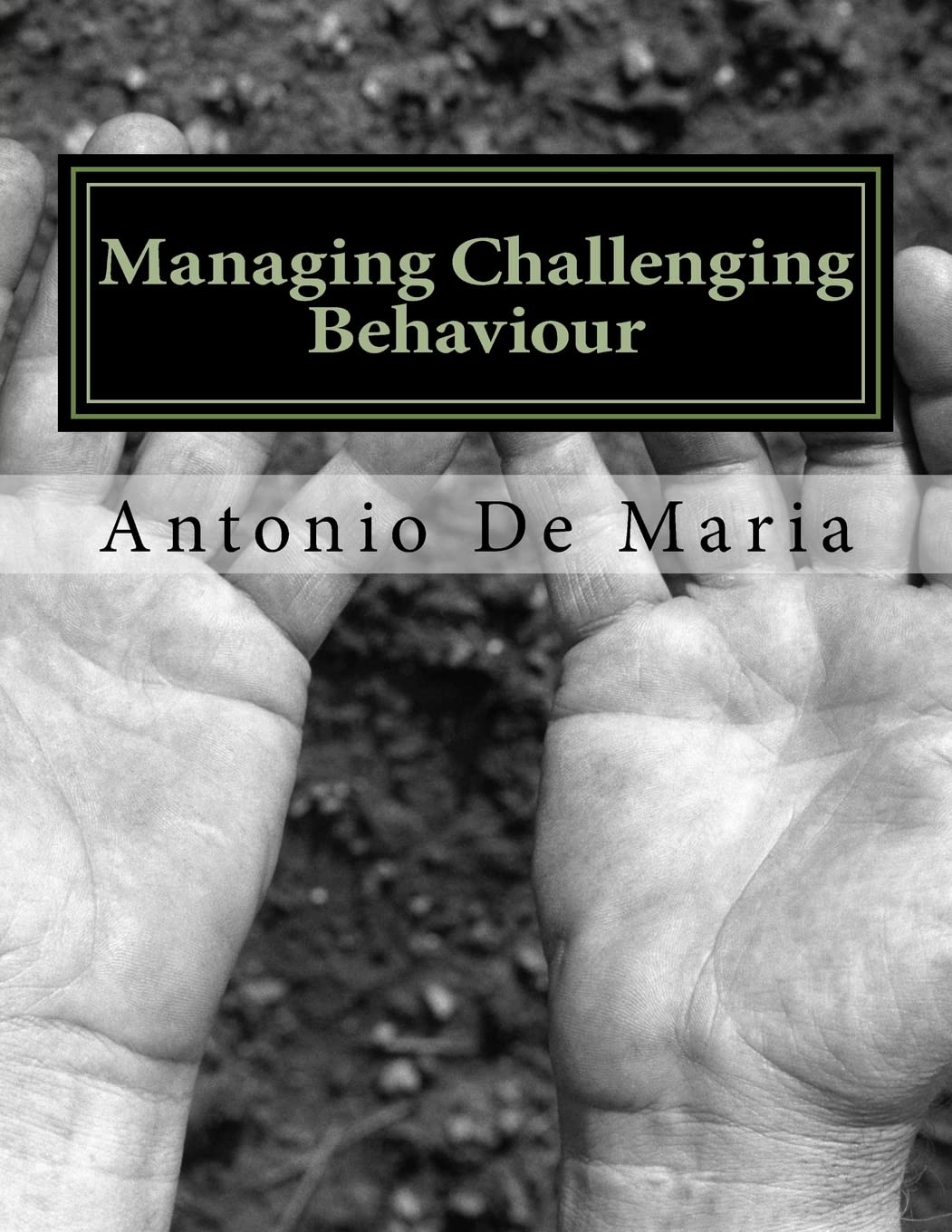 Managing Challenging Behaviour: Success with Managing Challenging Behaviour; A PRO-ACTIVE APPROACH