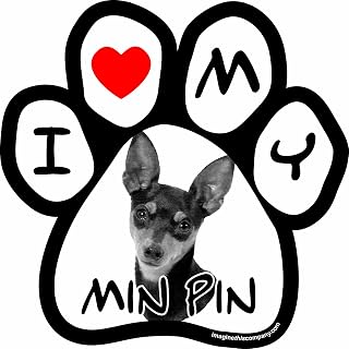 Imagine This Company Dog Picture Paw Shaped Pet Magnet; Removable Magnets for Cars, Fridges, Lockers & More, Stylish Pet Inspired Car Accessories, 5 1/2 x 5 1/2 inches, 1 Item, Black/White, Min Pin
