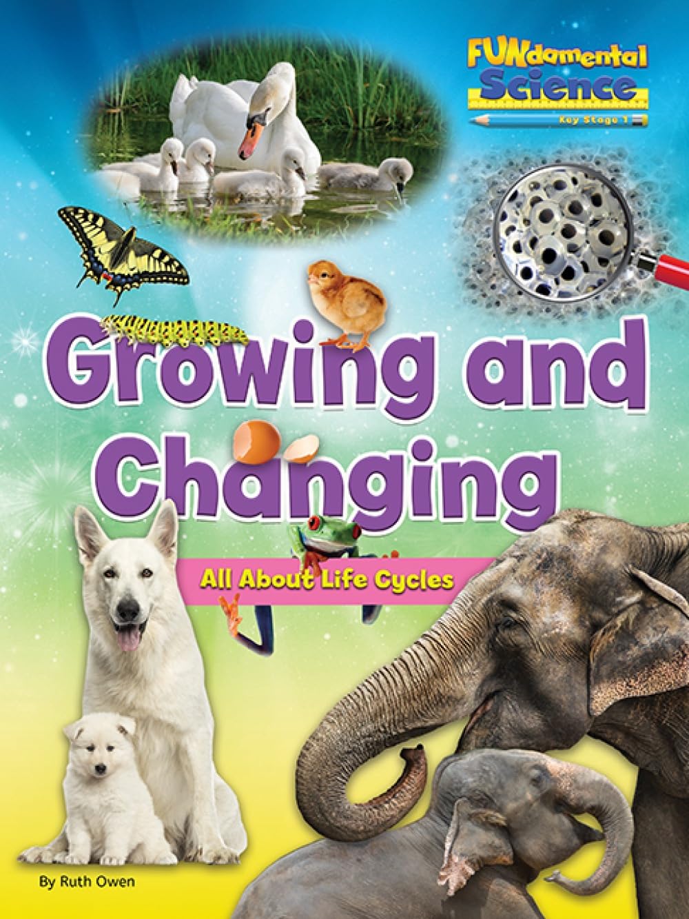 Growing And Changing - All About Life Cycles by Ruth Owen (Paperback Book)