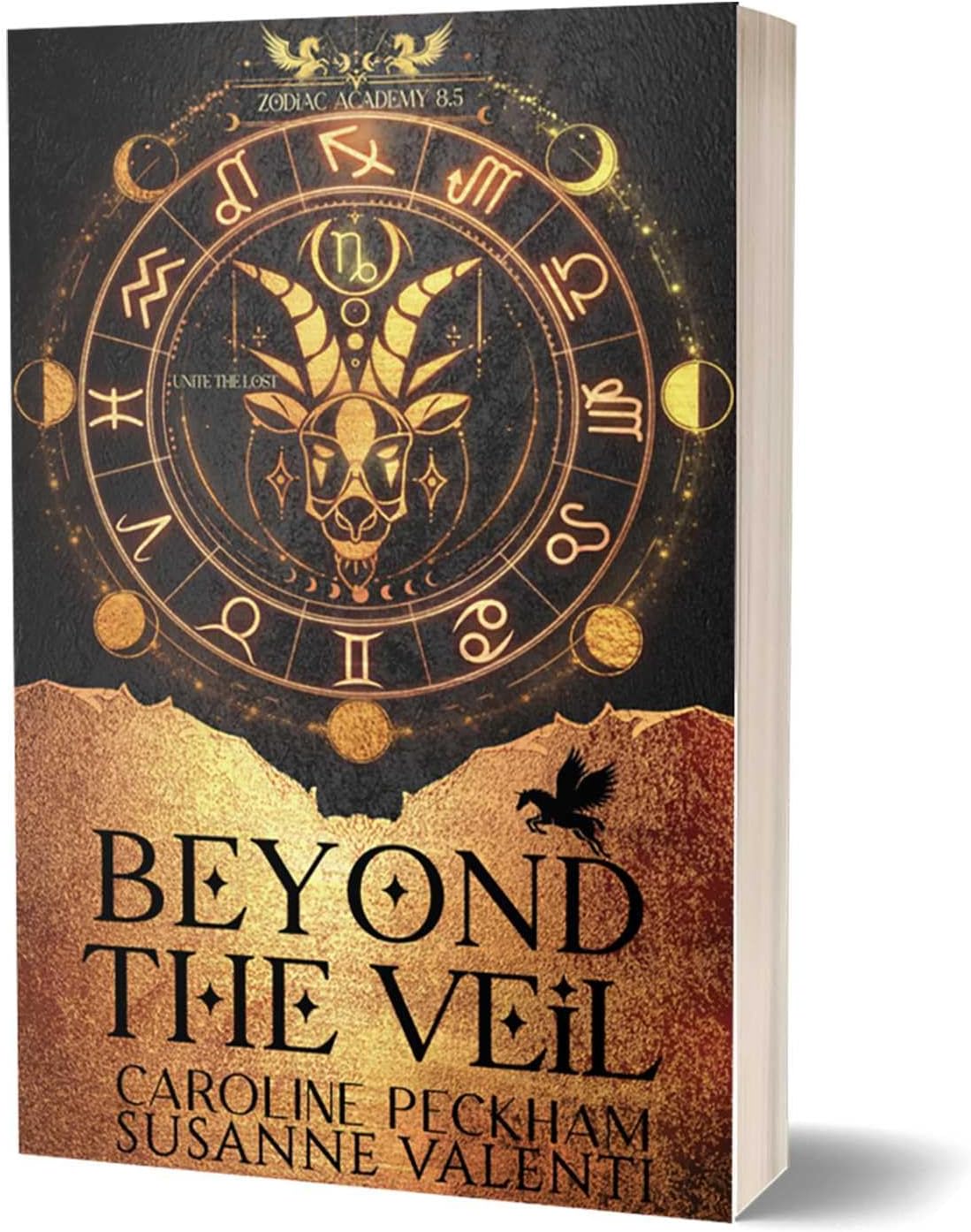 - Zodiac Academy 8.5: Beyond The Veil