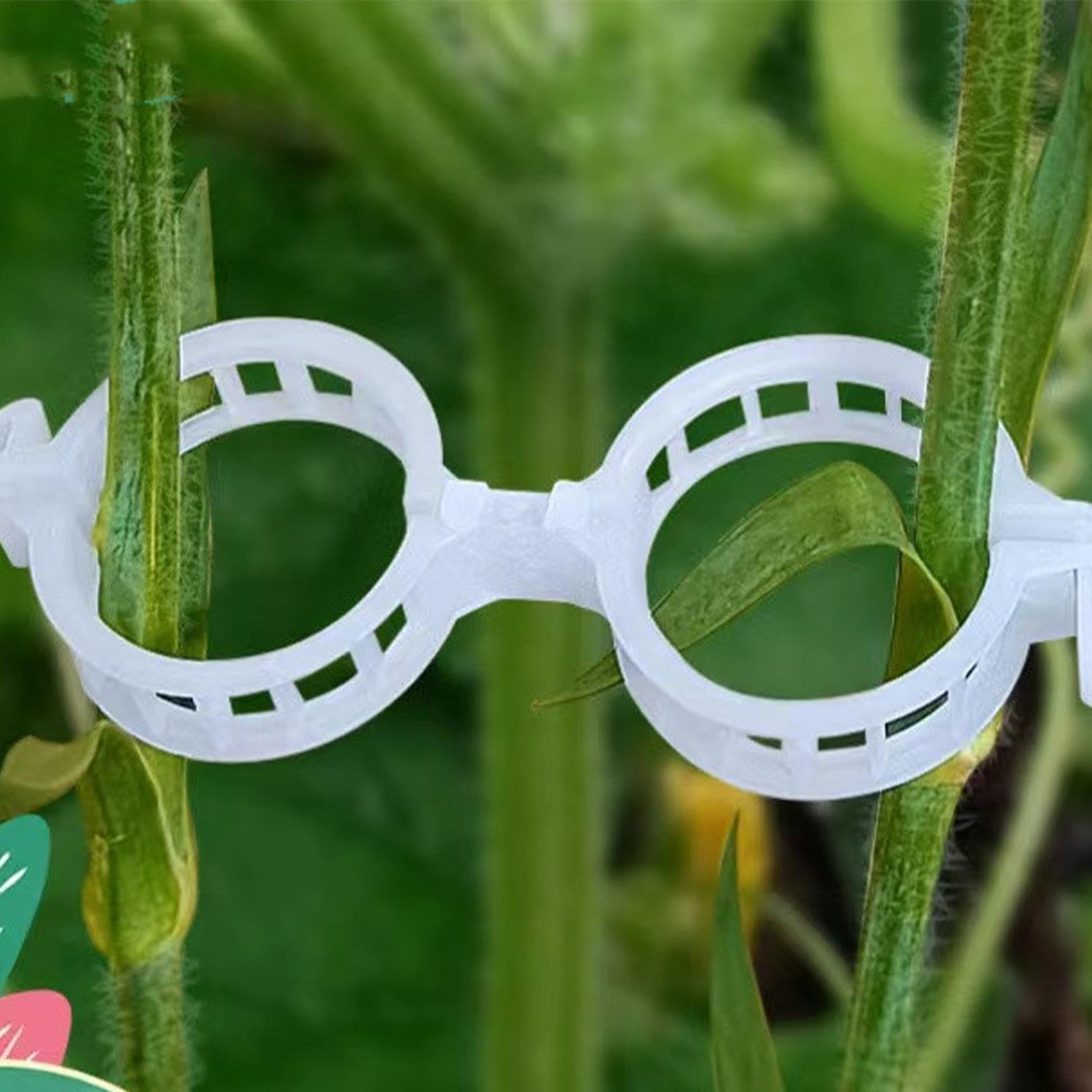 Attaches de Jardin, Clips de Support for Plantes Jardin, 300 pièces, Blanc, Vert, for tiges Vigne(Wit)