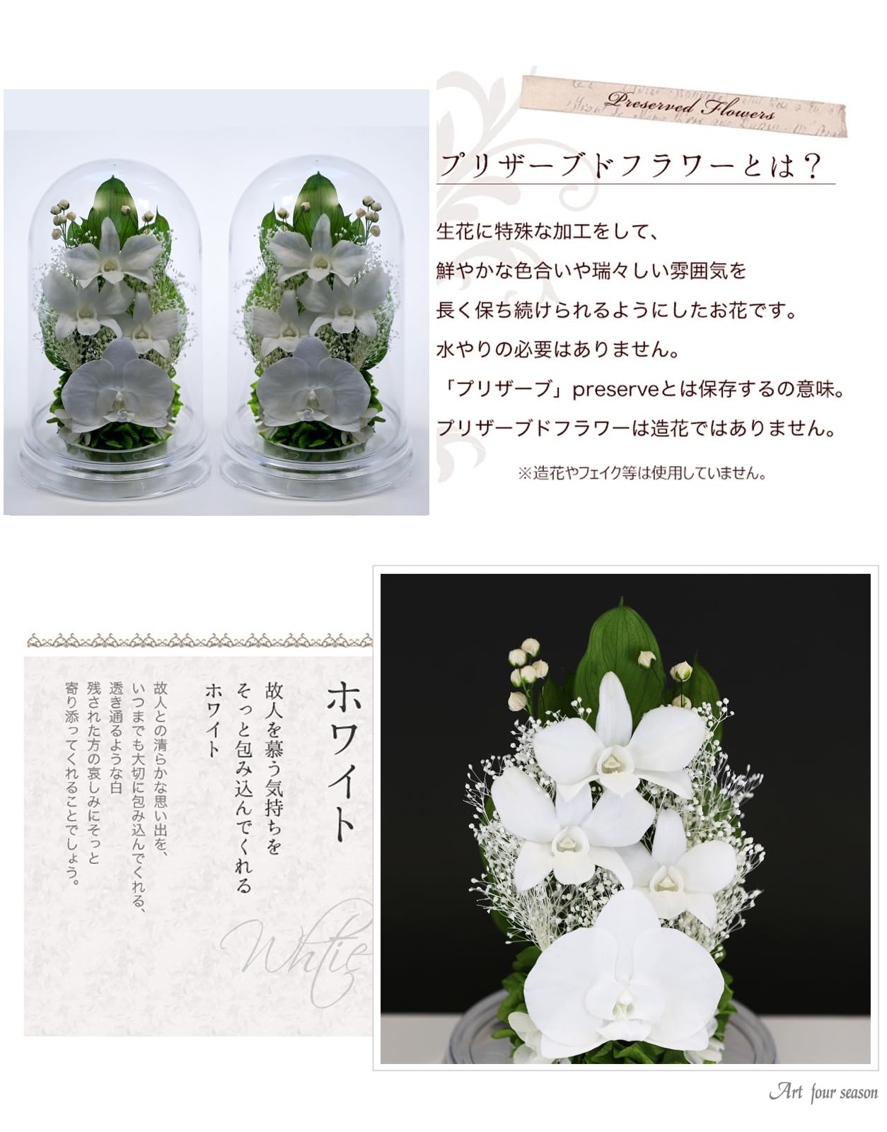 【人気商品】アートフォーシーズン■仏花 胡蝶蘭デンファレドーム 対デザインSET Amazon｜アートフォーシーズン 胡蝶蘭デンファレドーム 対デザインSET
