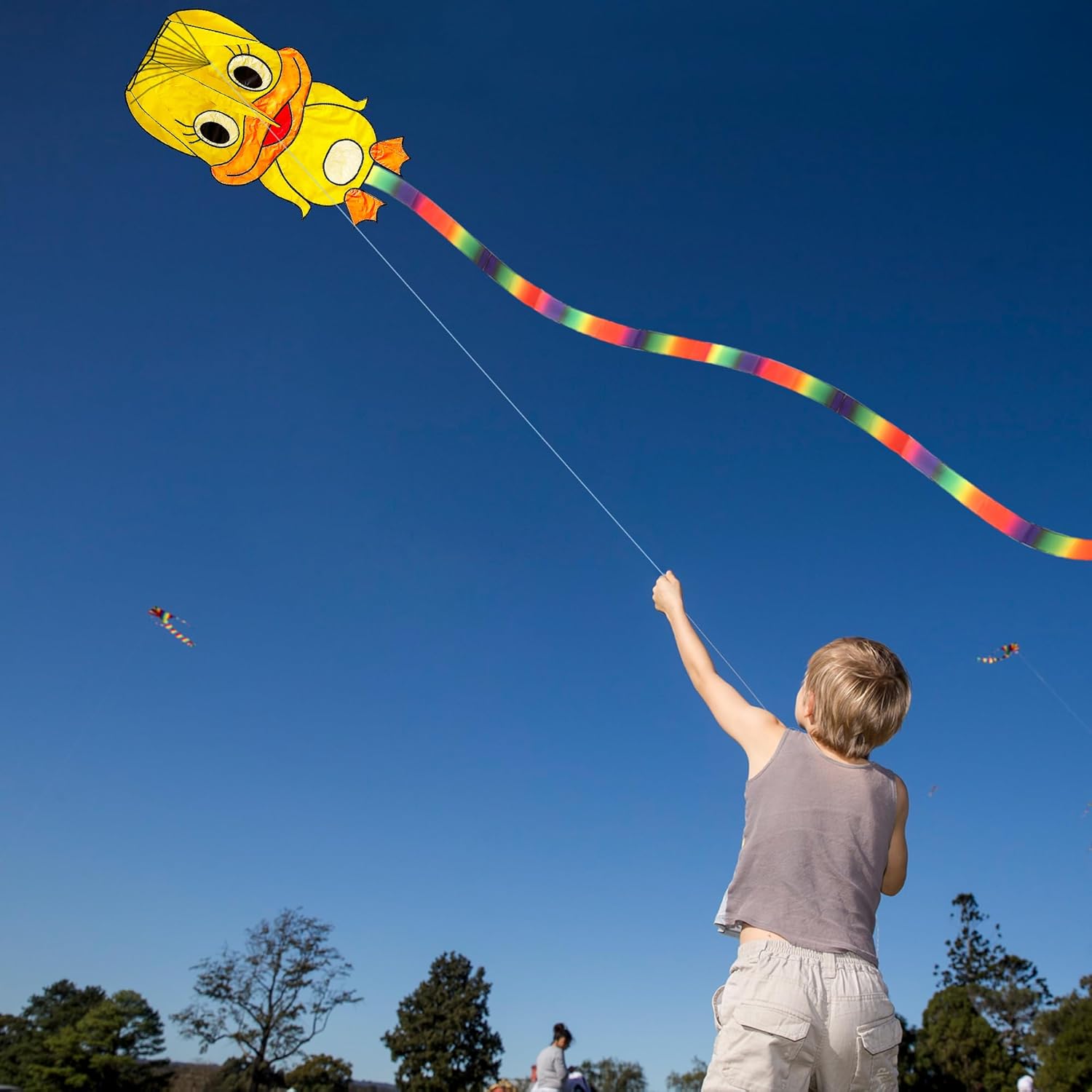 Duck Pattern Kites for Kids, Cute Large Kite Duck Kite with Long Colorful Tail for Kids & Adults, Easy to Fly Kite for Beginners Outdoor Activities
