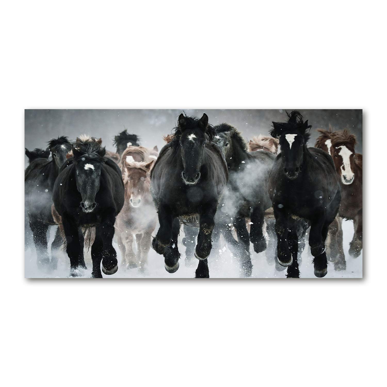Tableau sur verre panoramique chevaux au galop noir pour habiller un grand mur