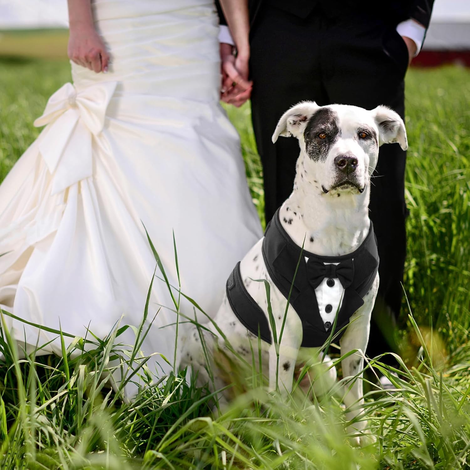 Kuoser Dog Tuxedo Harness, Adjustable Dog Harness No Pull for Small Medium Dogs, Doggie Wedding Suit with Bow Tie Party Costume