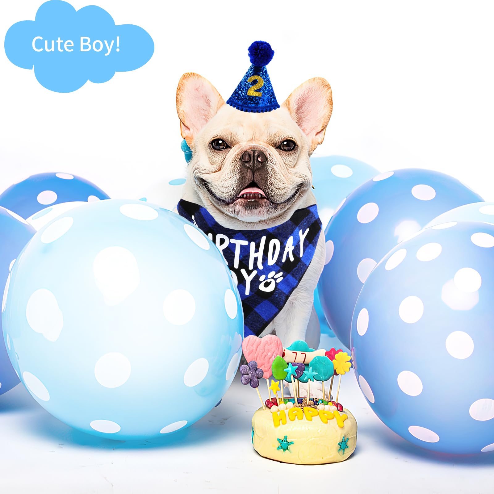 Hunde-Geburtstagsparty-Set – Hut, Bandana, Fliege, Banner, Luftballons Für Kleine & Mittlere Hunde