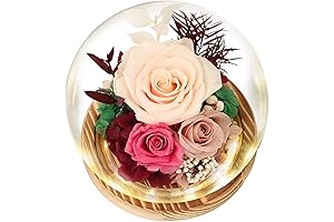 Eternal Blossoms: Radiate Joy with Preserved Flowers for the Special Women in Your Life